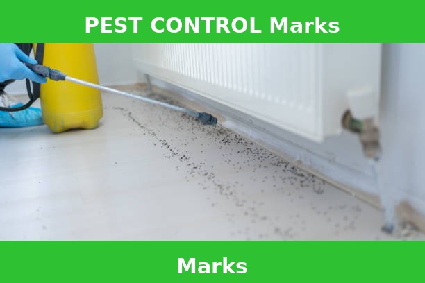 PEST CONTROL Marks